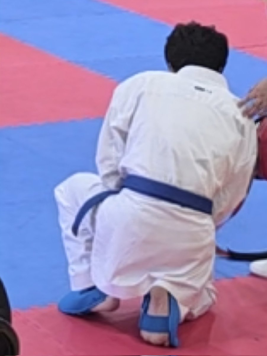 Seigen The WandererVT tweet media