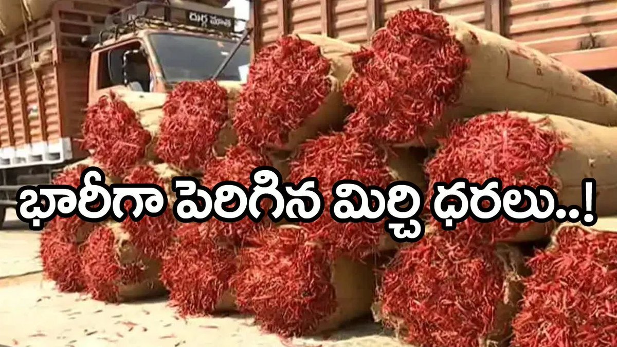 TV9Telugu's tweet photo. కాసులు కురిపిస్తున్న ఎర్ర’బంగారం’.. రైతన్నలకు పండగే! క్వింటా ధర ఎంతో తెలుసా?
https://t.co/B46vy5ZZOq
#MirchiPrice #AndhraPradesh #ChilliPrices https://t.co/7xt6KNDjM1