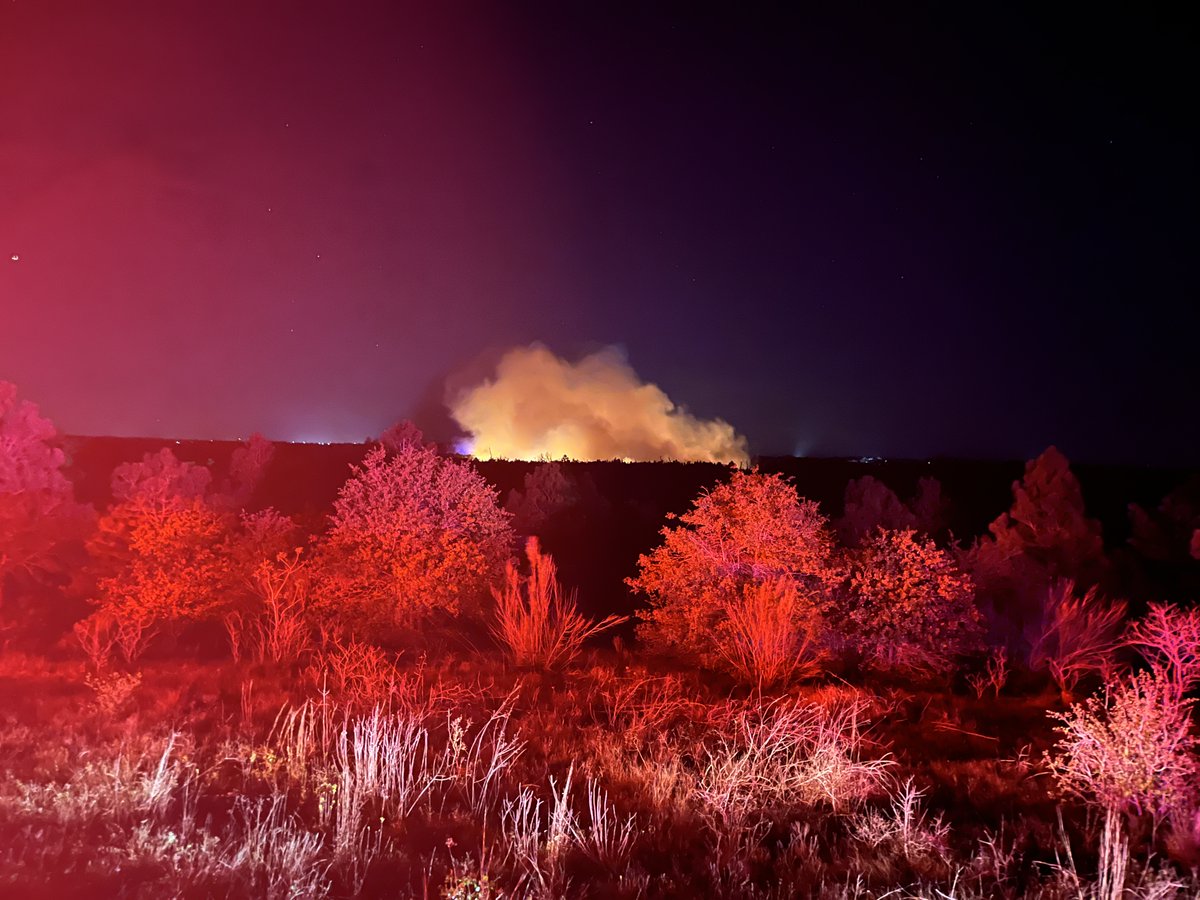 Texas Parks & Wildlife tweet media