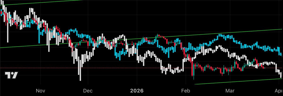 Łɪᴛᴏ tweet media