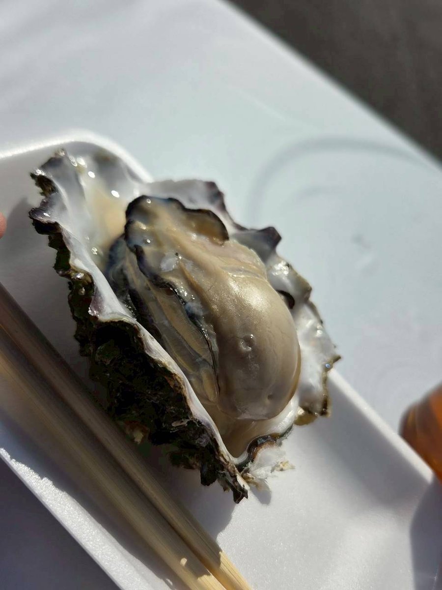 ダイナム群馬大胡店 tweet media