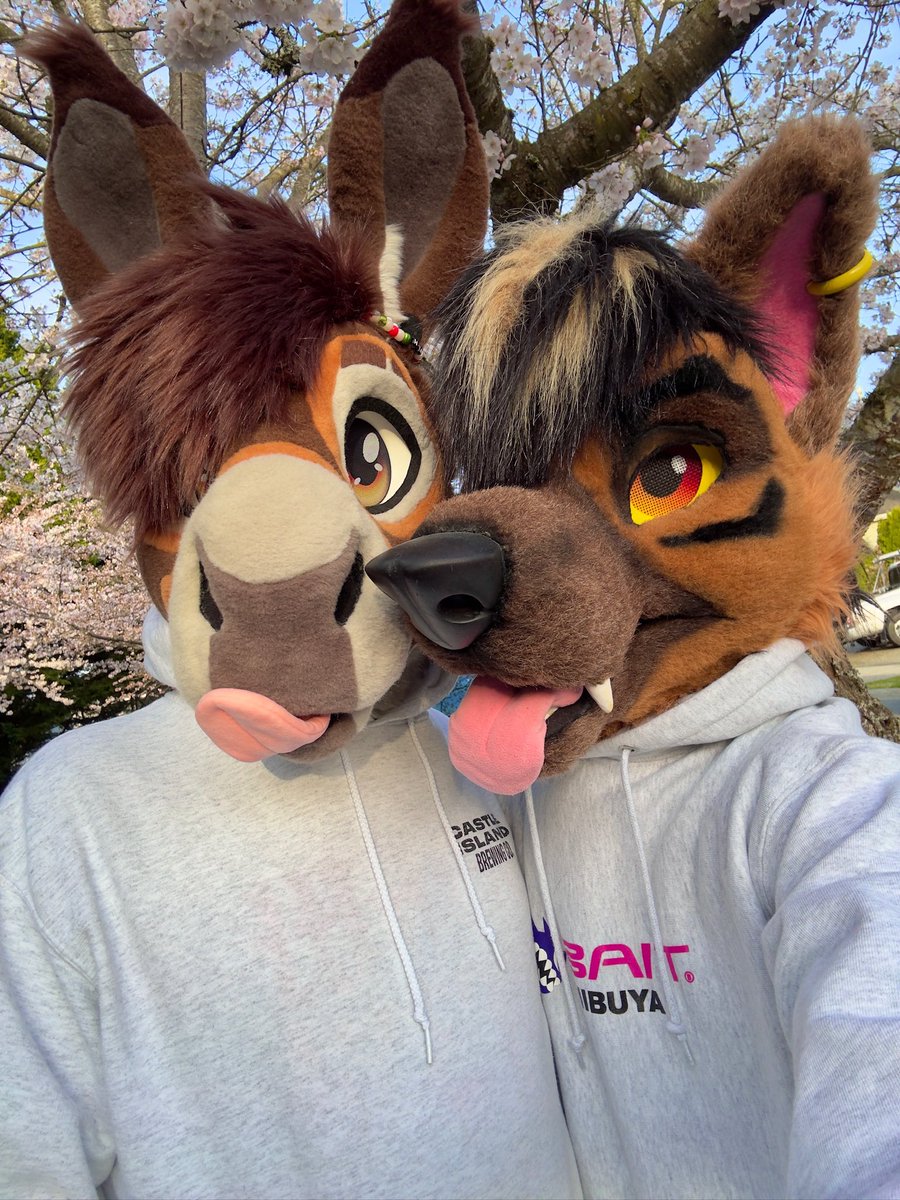 Azel➡️🦋 tweet media