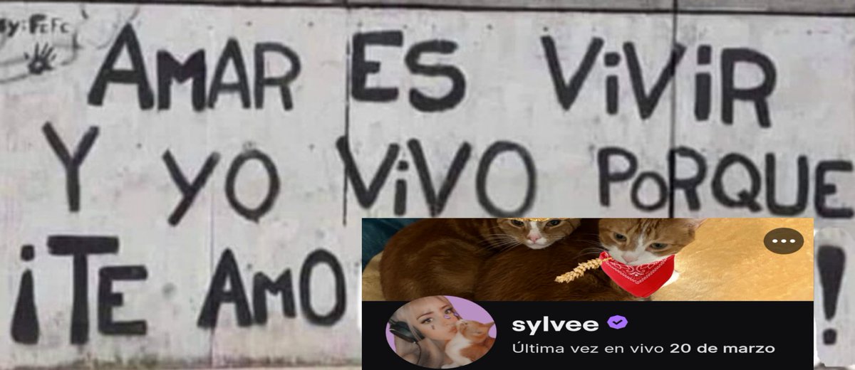 ♡city walls |-/ tweet media