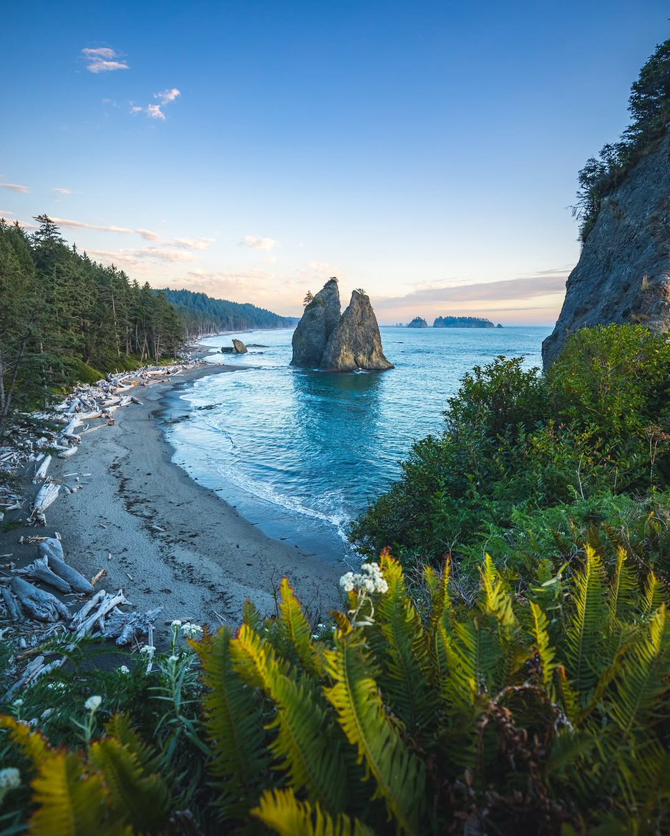 NatureRoot88's tweet photo. Olympic Peninsula, Washington https://t.co/WQqsVo0ZgU