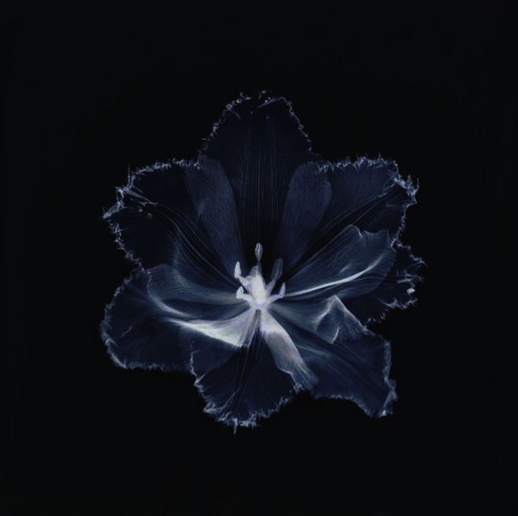 ๐ฏอ๐๐๐๐๐๐๐ , ๐๐๐๐. tweet media