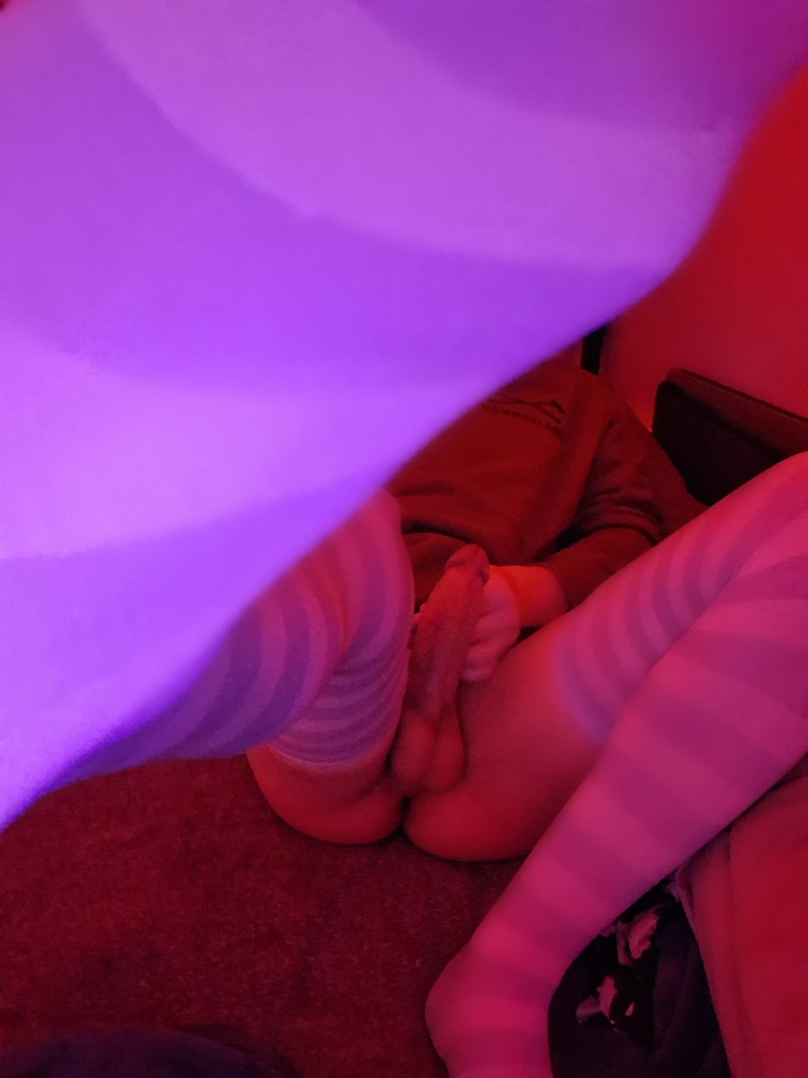 ❄️SneakyFox❄️ tweet media