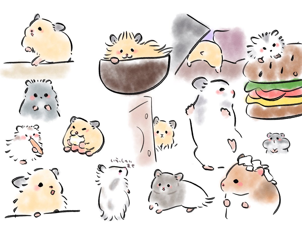 ﾊﾑｽﾀｰｵﾀｸ tweet media