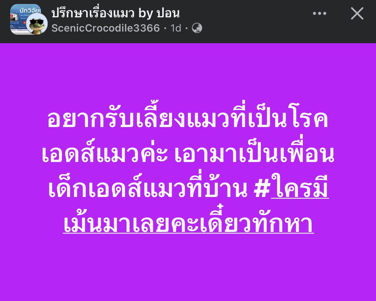 คือผมต้องทราบไหม 🐈‍⬛ tweet media