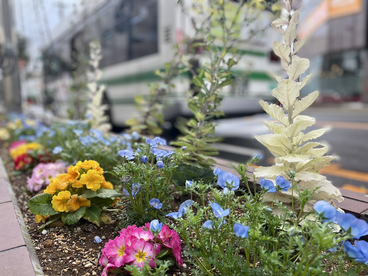 ゆのみ tweet media