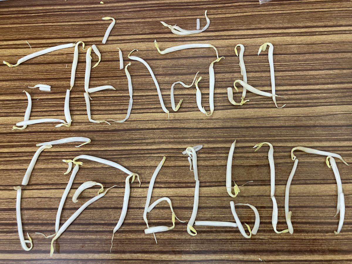 𝙁𝙤𝙧 𝙆𝘼𝙄 tweet media