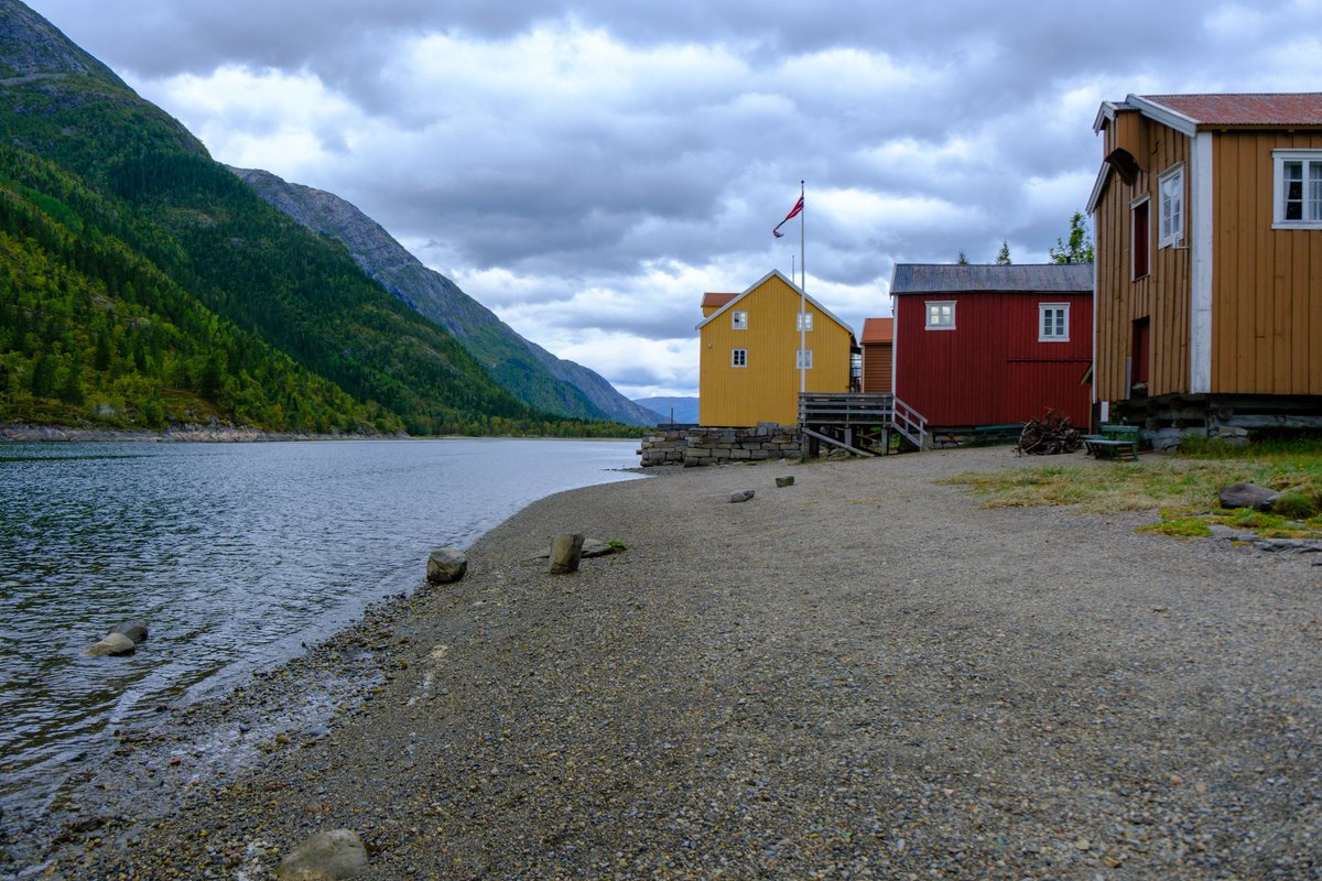 DEN VILDA KATTEN tweet media