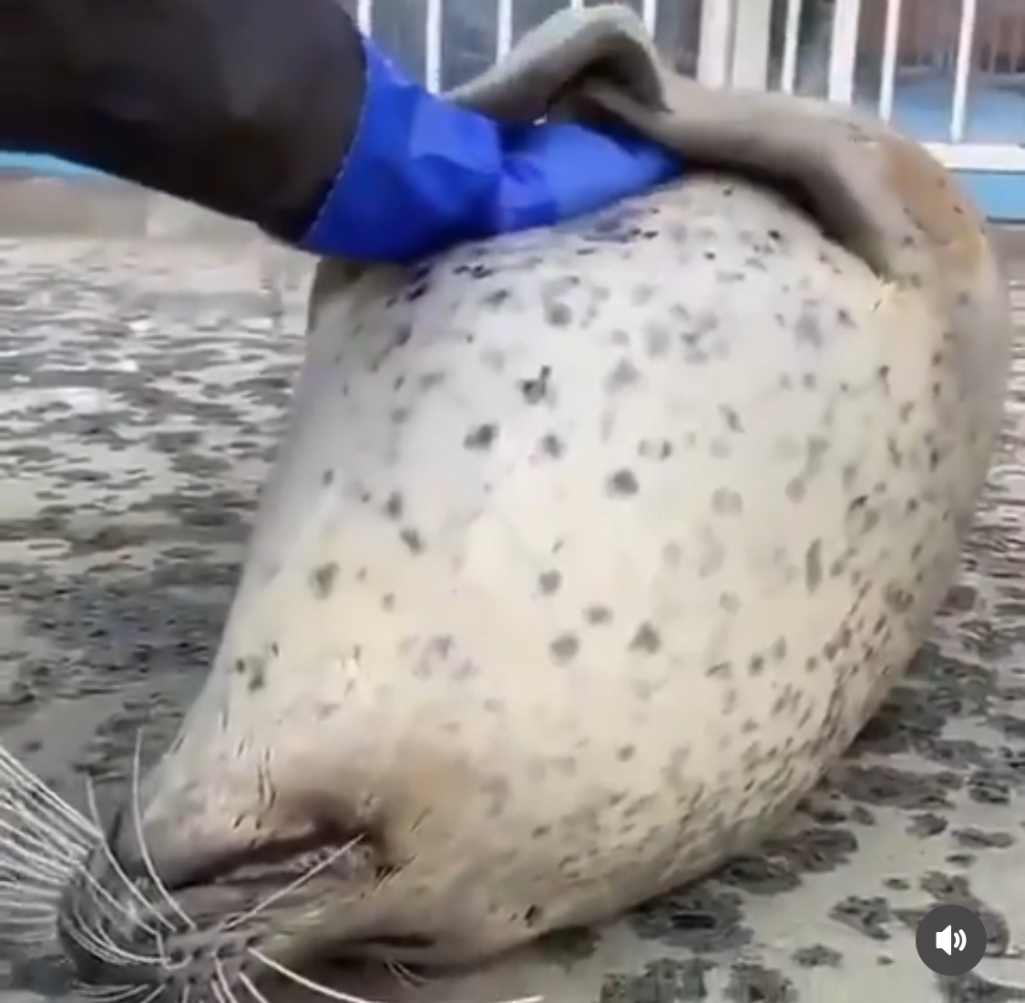 Flagger.Kim tweet media