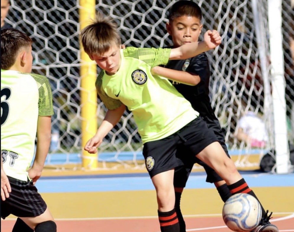 DavisonDistributions tweet media