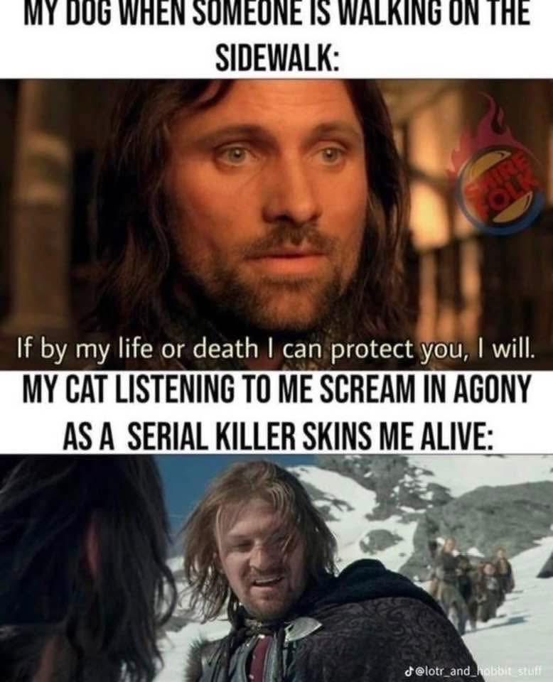 Smudge The Insult Cat 🐀 tweet media