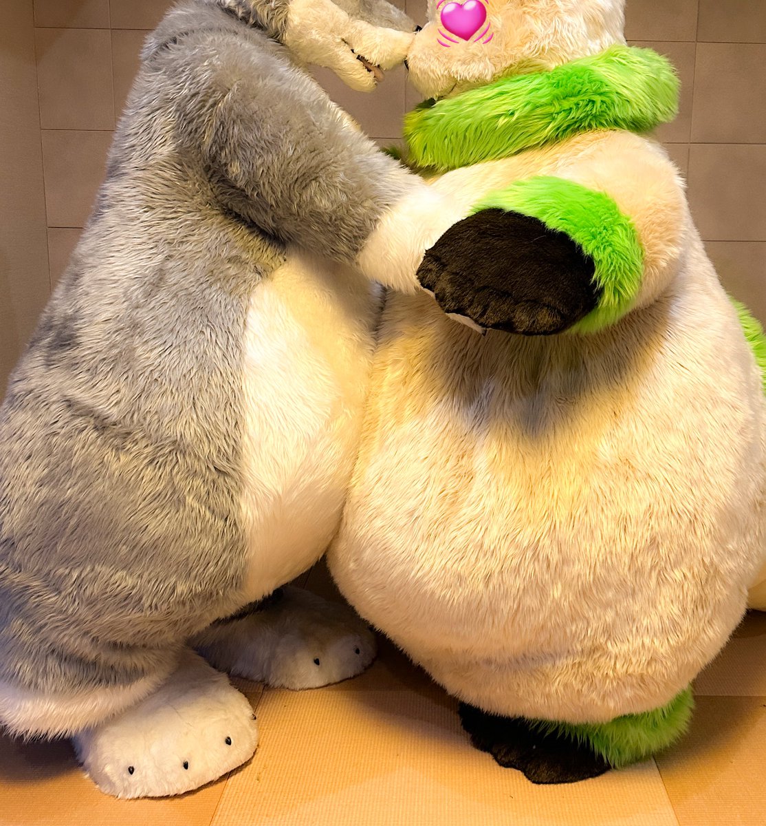 ソイドラ/Soydra▶️夢もふ8 tweet media