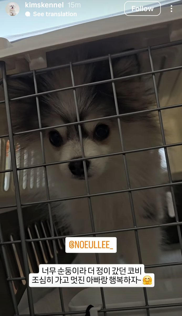 ShrekyLinda's tweet photo. Will we get to see Corby in a few days time (after his quarantine)

I wish to see Noeul &amp; Wendy's reaction of first meet up with the little prince

#PrincessWendy #PrinceCorby #NoeulNuttarat https://t.co/DTx9H5XEBv
