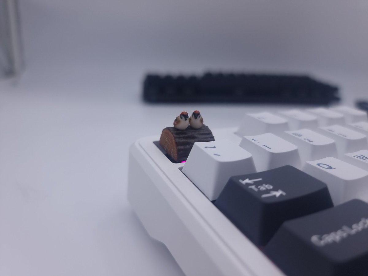 쓰리디클럽 tweet media