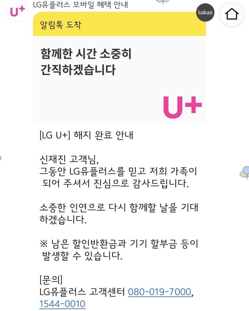 몰리 tweet media