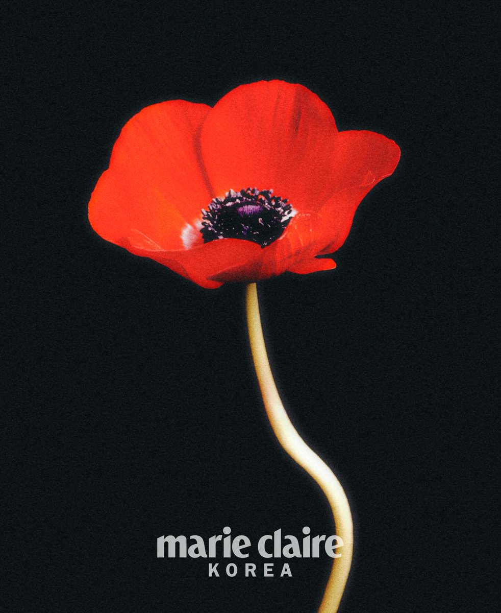 𝙼𝙸𝙽𝙶 tweet media