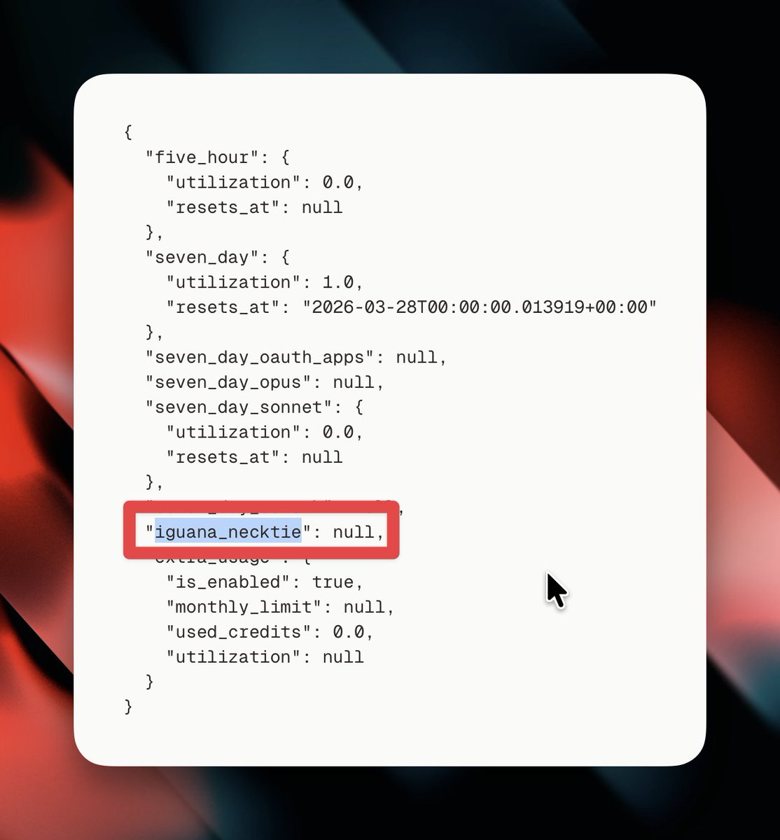 Robin Ebers | AI Coach for Founders tweet media