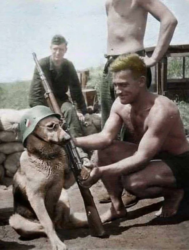 Mick🇦🇷✝️ tweet media