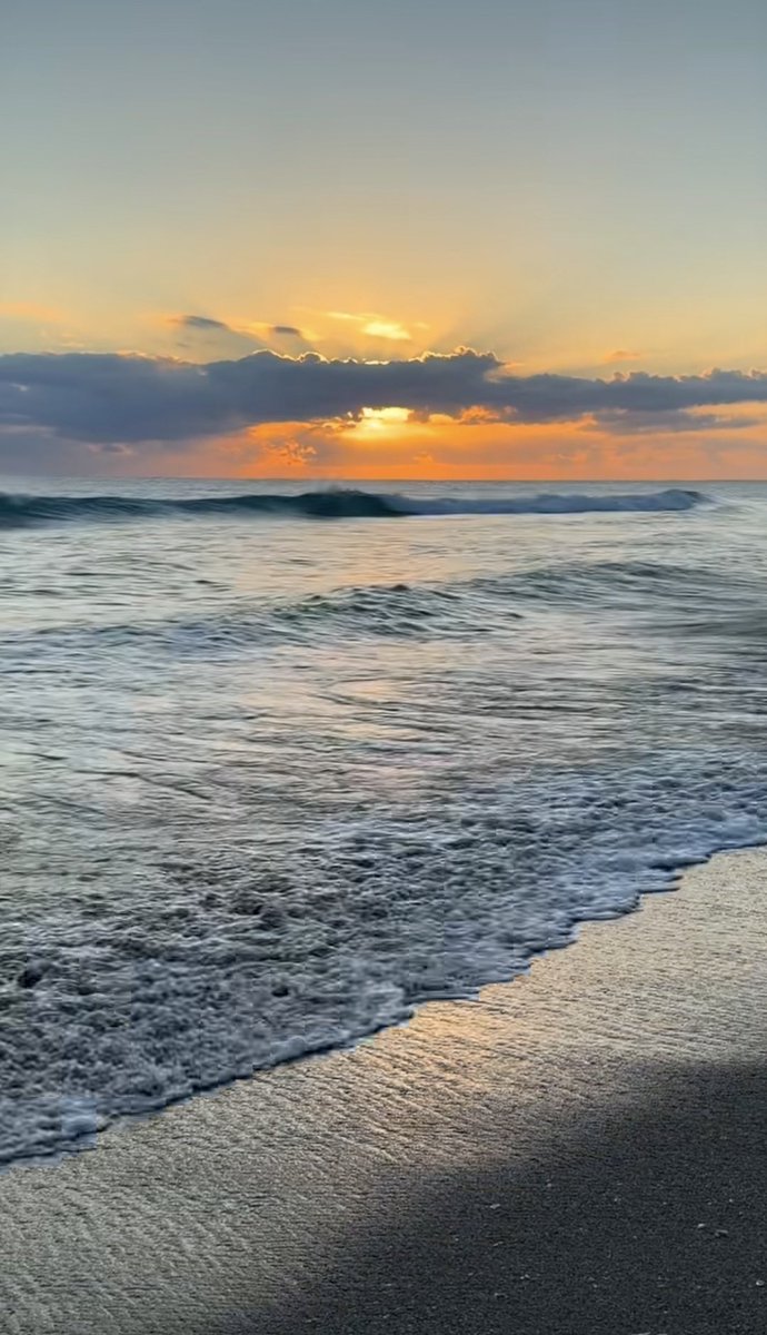 هـذيـآن حـرف . tweet media