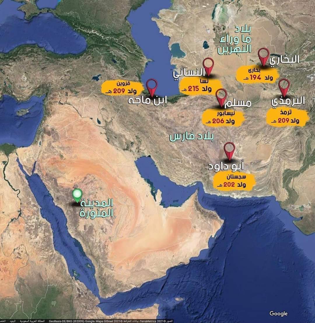 ميسرة tweet media