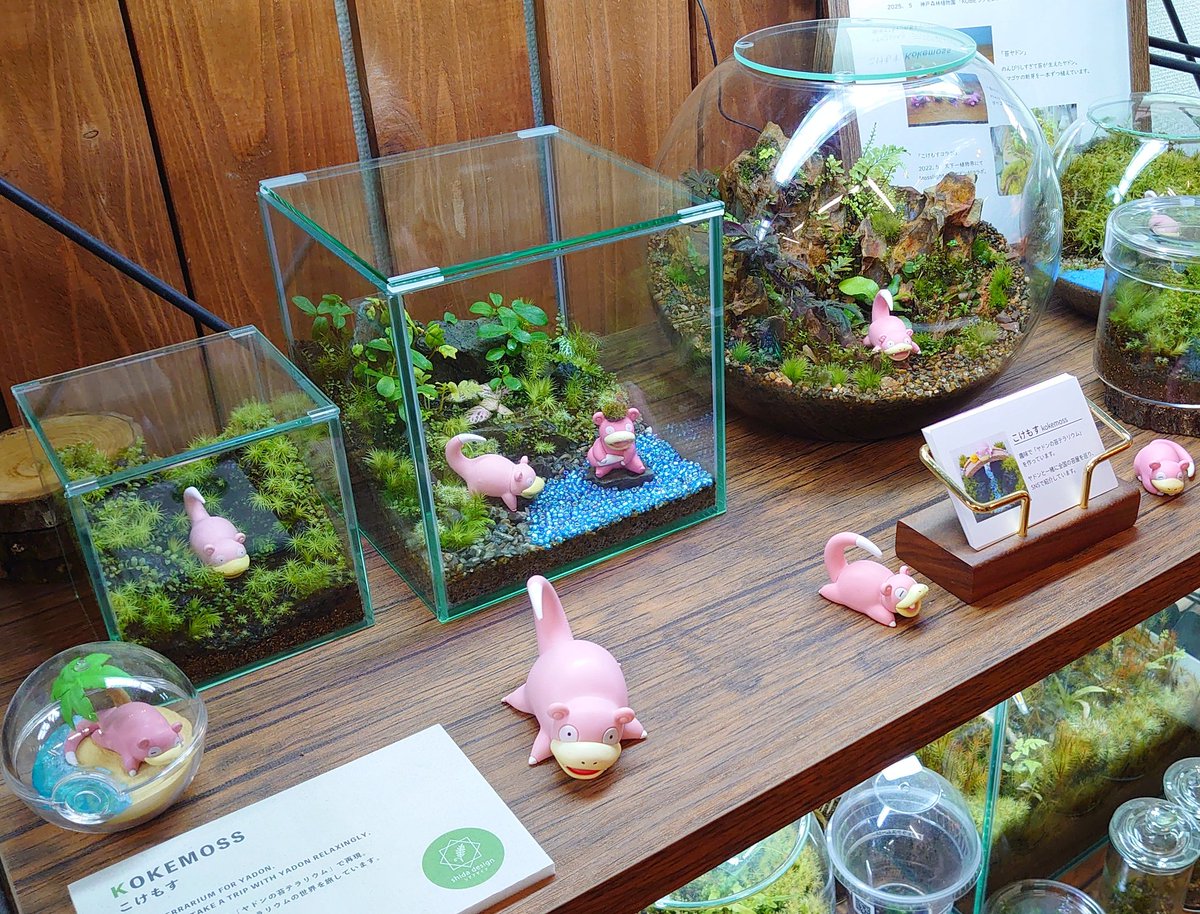 こちらはシダデザインさん(<a href="/FERNDESIGN1/">shida design シダデザイン</a>)のレンタルスペースで展示中。
ヤドンまみれです🌿