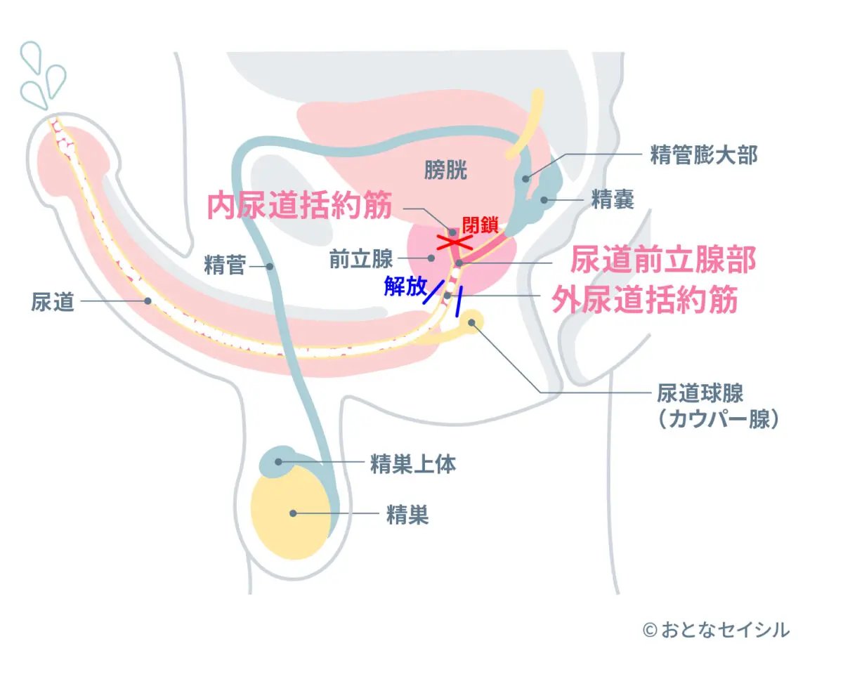TENGAヘルスケア | 性の悩みに、今できること。 tweet media