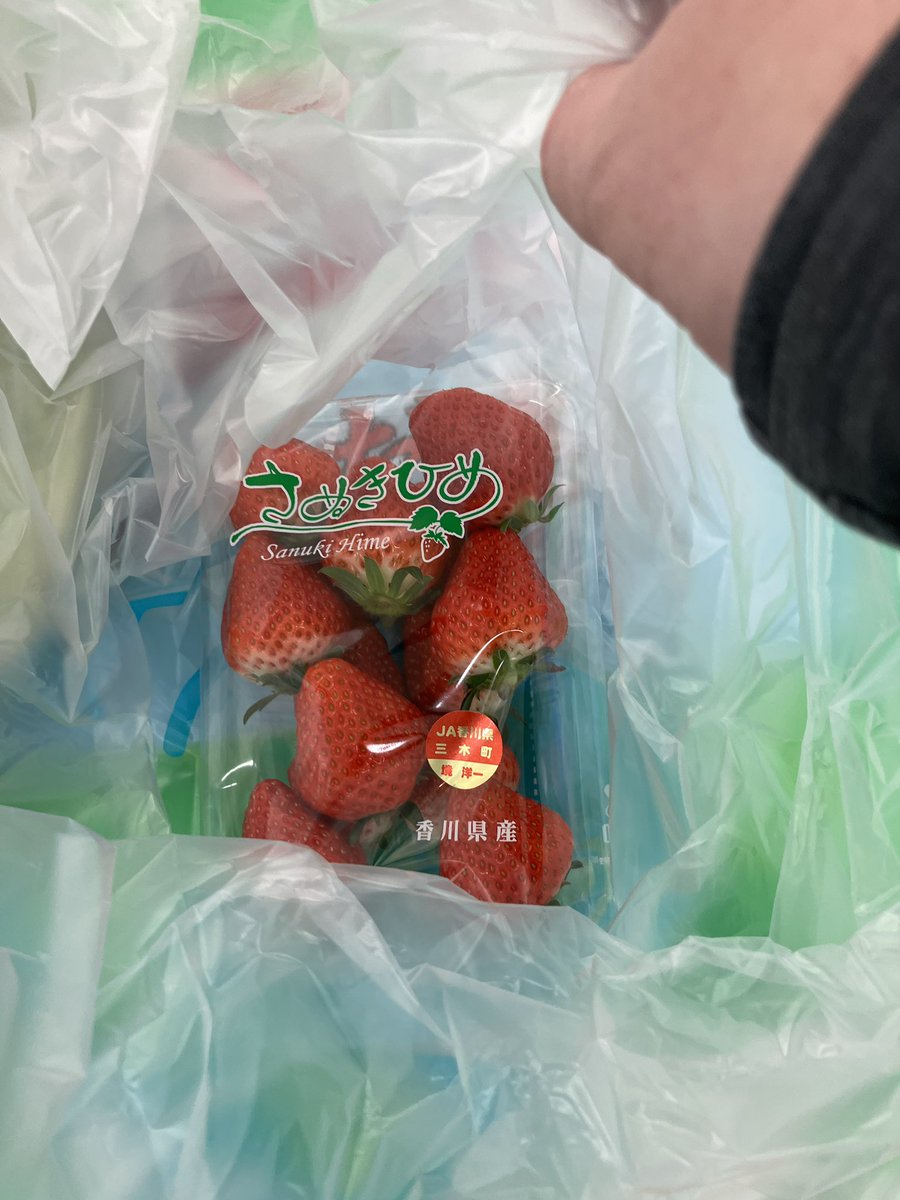 今日ははくさい、キャベツはプレイしていません‼️笑