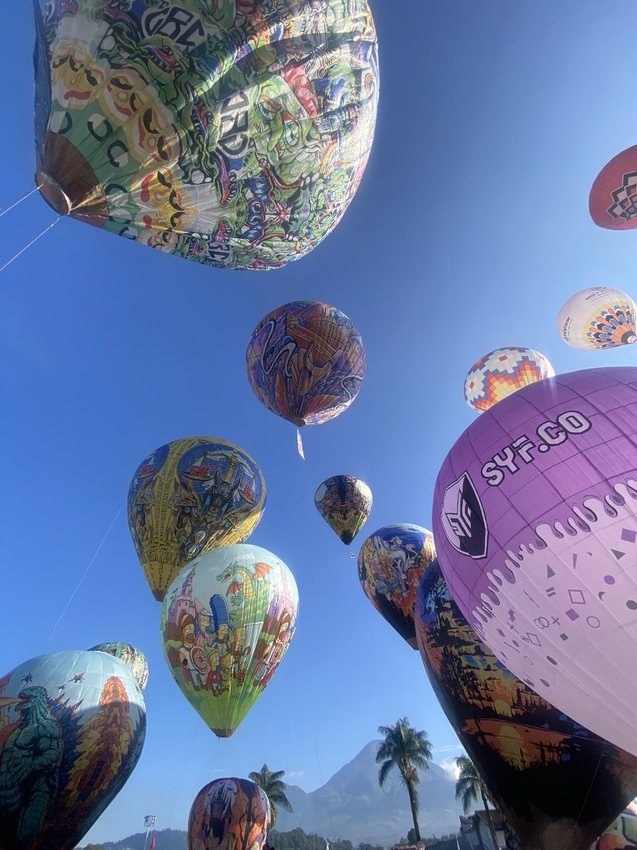 orcinus orca tweet media