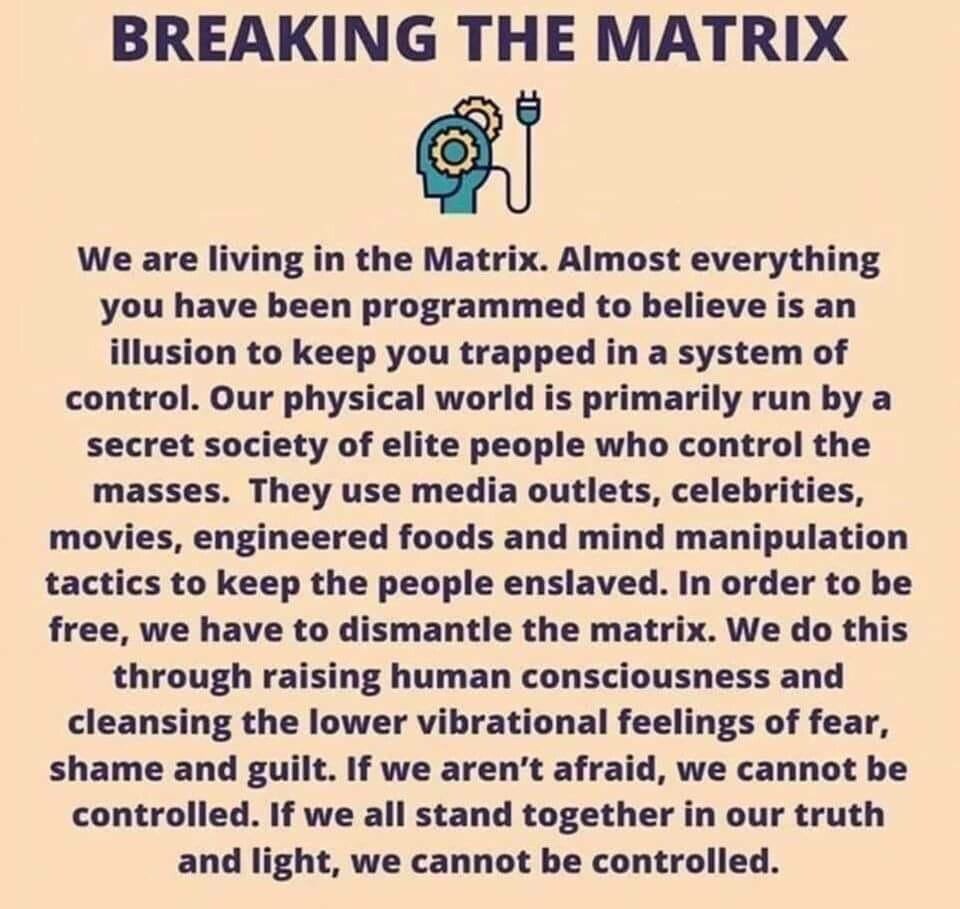 Conscious Being🕊️ tweet media