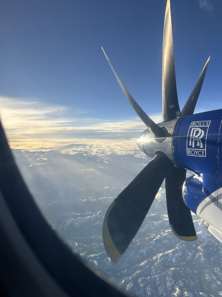 Jon Arias tweet media