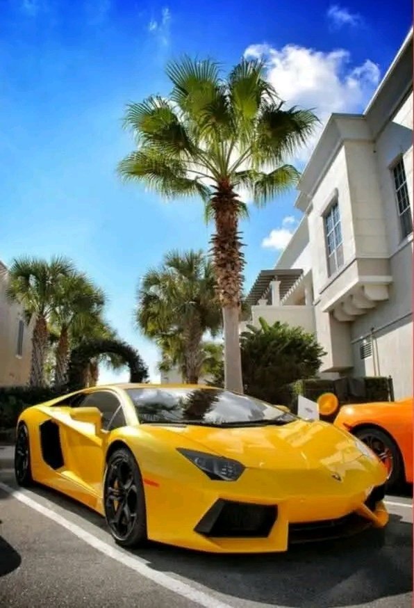 Happy sunrise believers 🪐

The internet didn’t lack content it lacked continuity
<a href="/permacastapp/">Permacast.app</a> introduces a layer where ideas don’t just exist once but remain part of an ongoing system that can be referenced, connected and revisited over time

Systems store data PermawebDAO