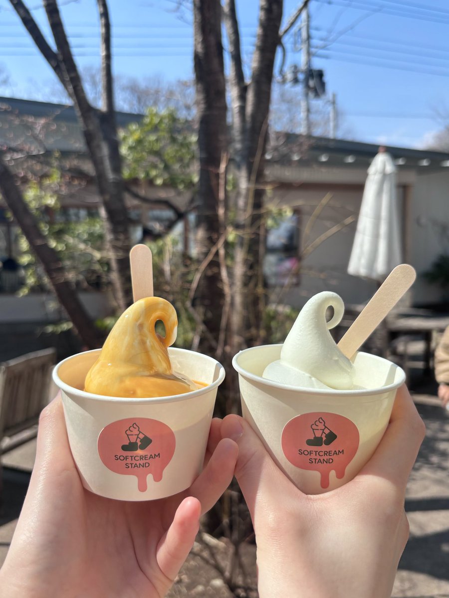 無限食欲🌱 tweet media