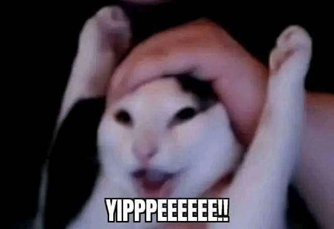 Kiryu-san (ex-Artorias) tweet media