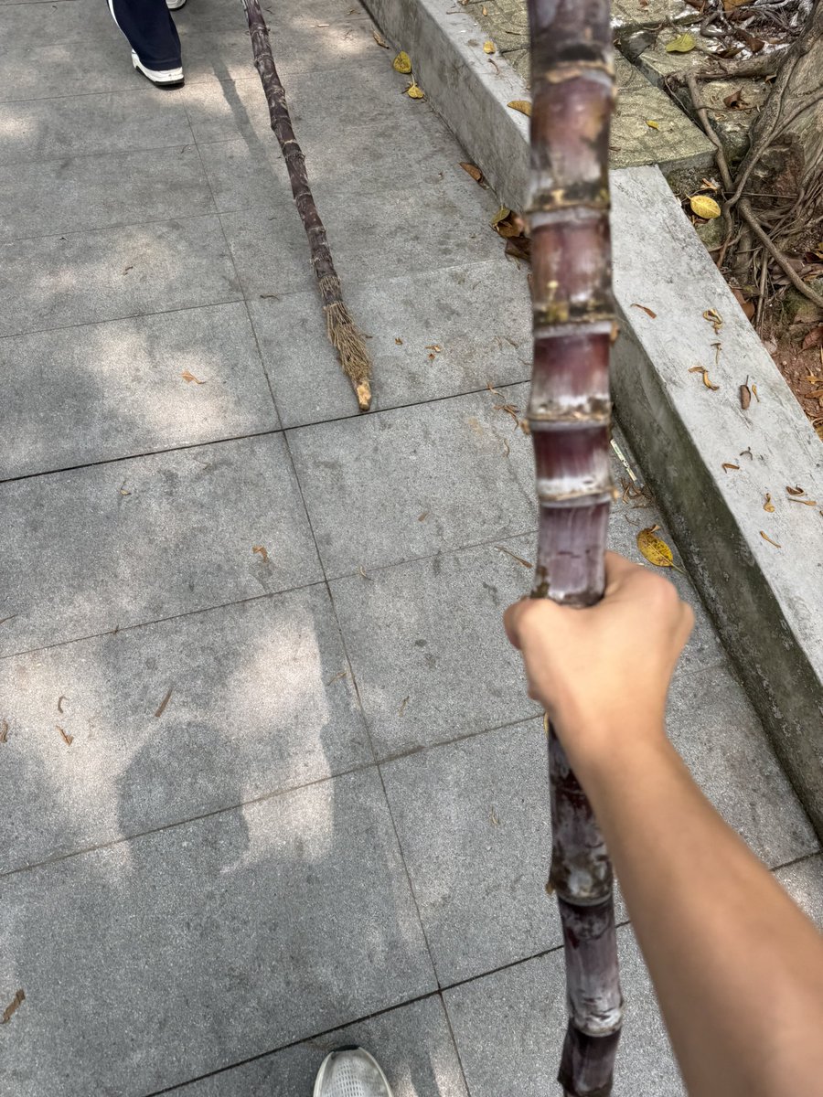 渌川_Lucian tweet media