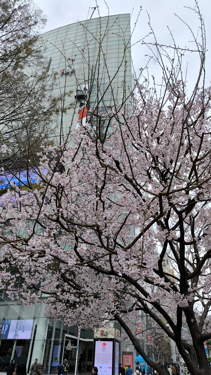 まっぷん tweet media