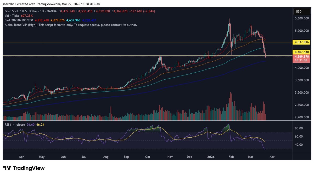 Don’t Follow Shardi B If You Hate Money tweet media