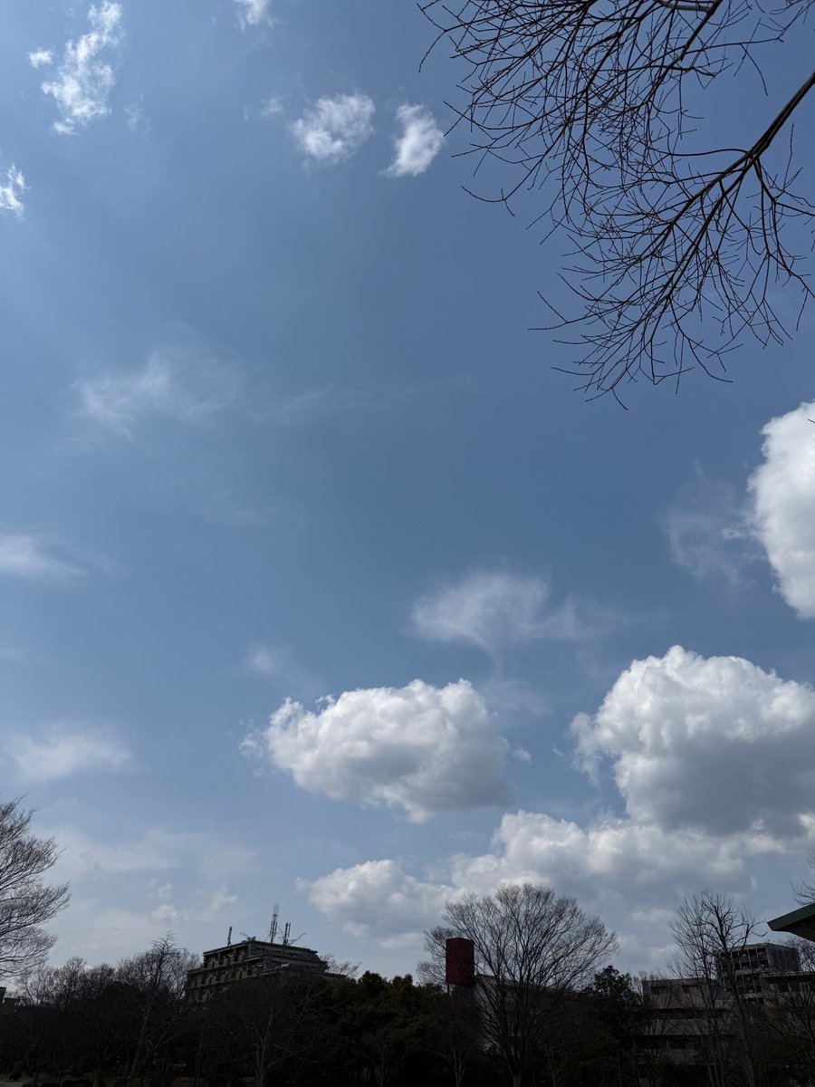 セツナシロップ@5周年！ tweet media