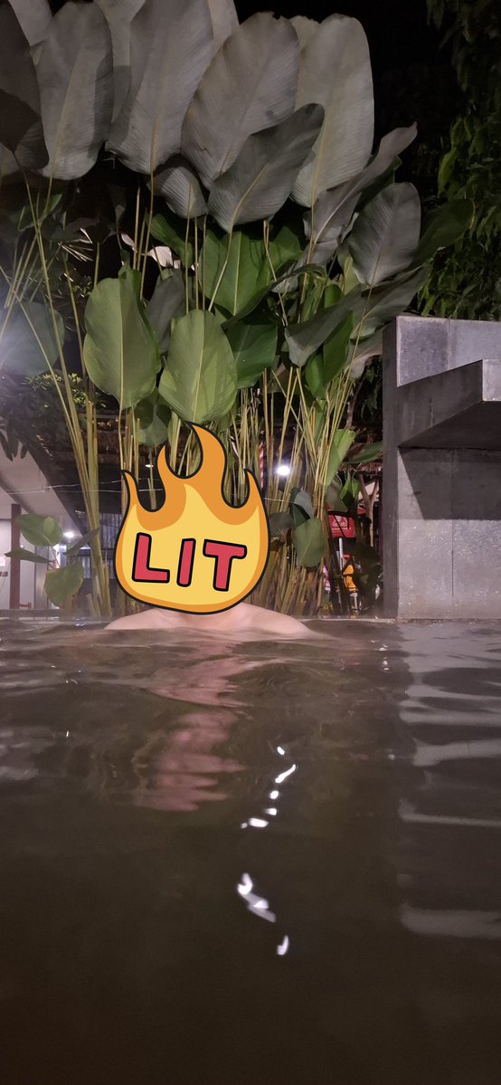 Pen(T)olKasar tweet media