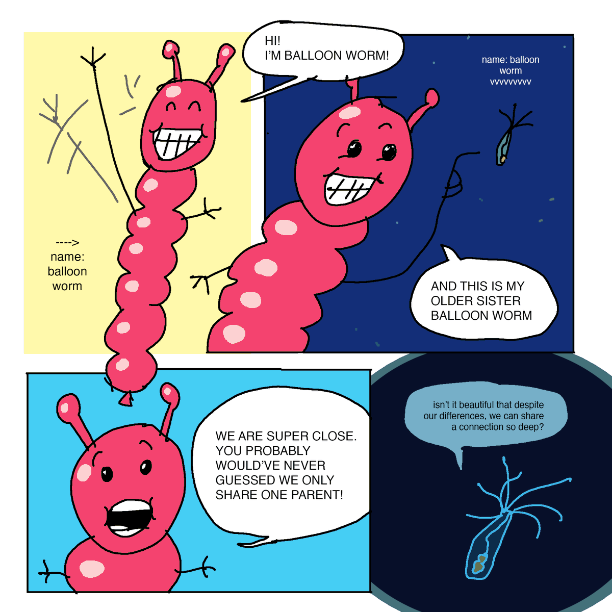 Chris Kim tweet media