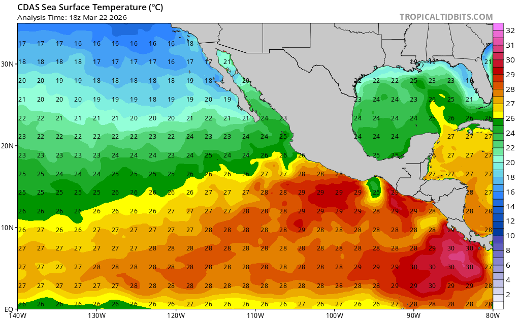 Edgar McGregor tweet media