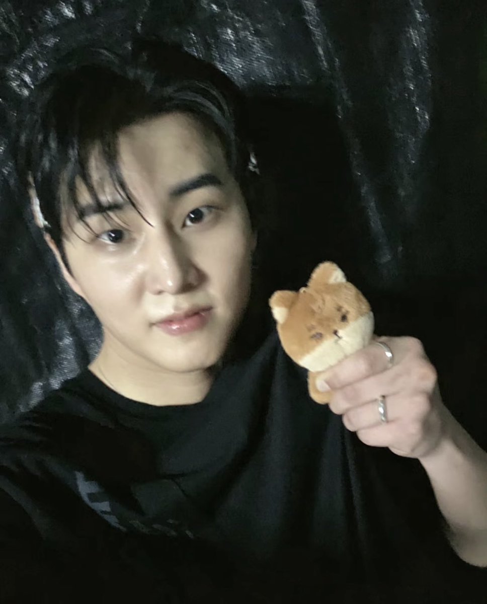 데일리디폴트 tweet media