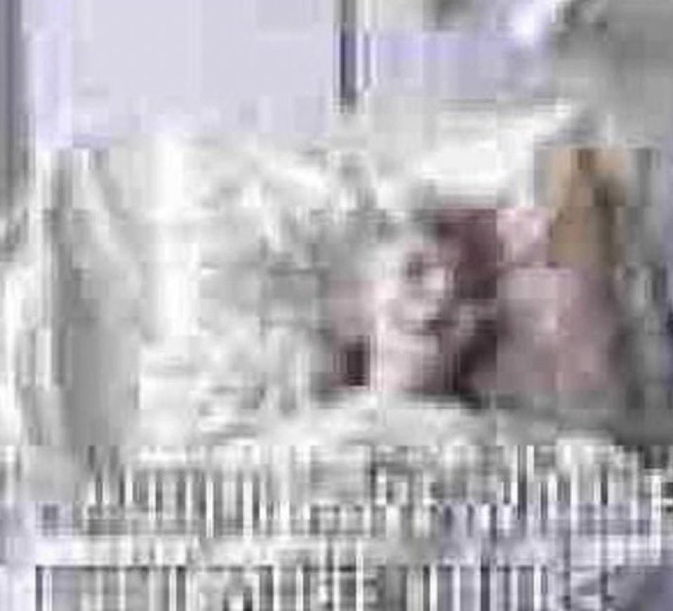 ˙𐃷˙ tweet media