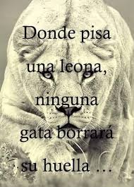 girl almighty✨ tweet media