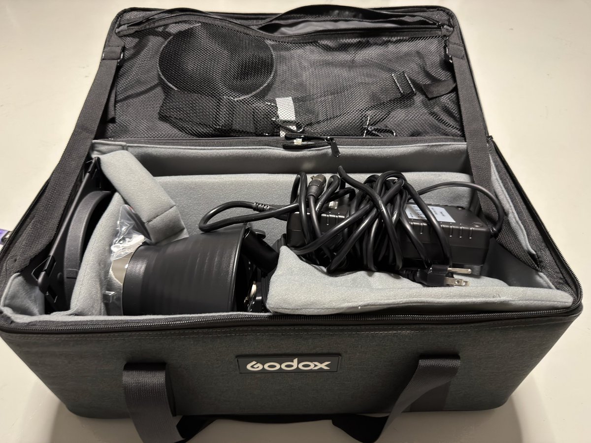 adriana chechik tweet media