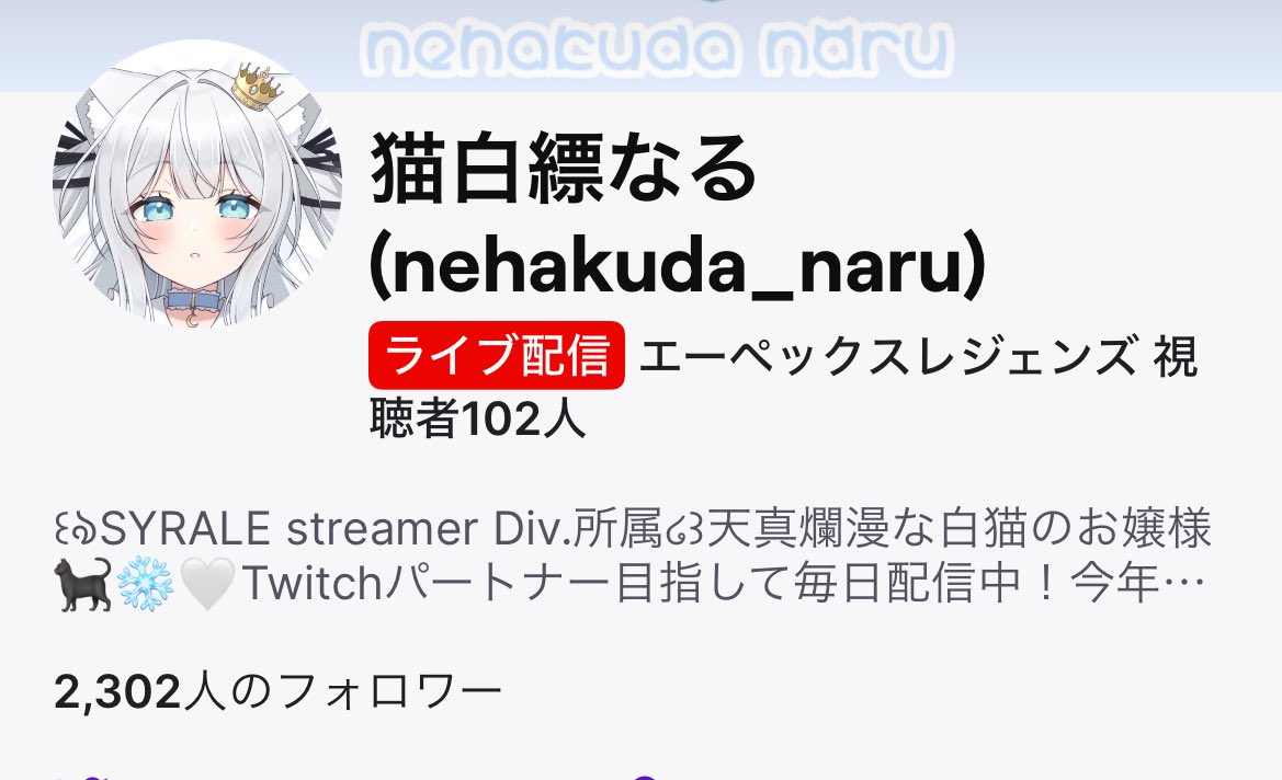猫白縹なる🐈⬛❄️🤍4月24日Live2Dデビュー tweet media