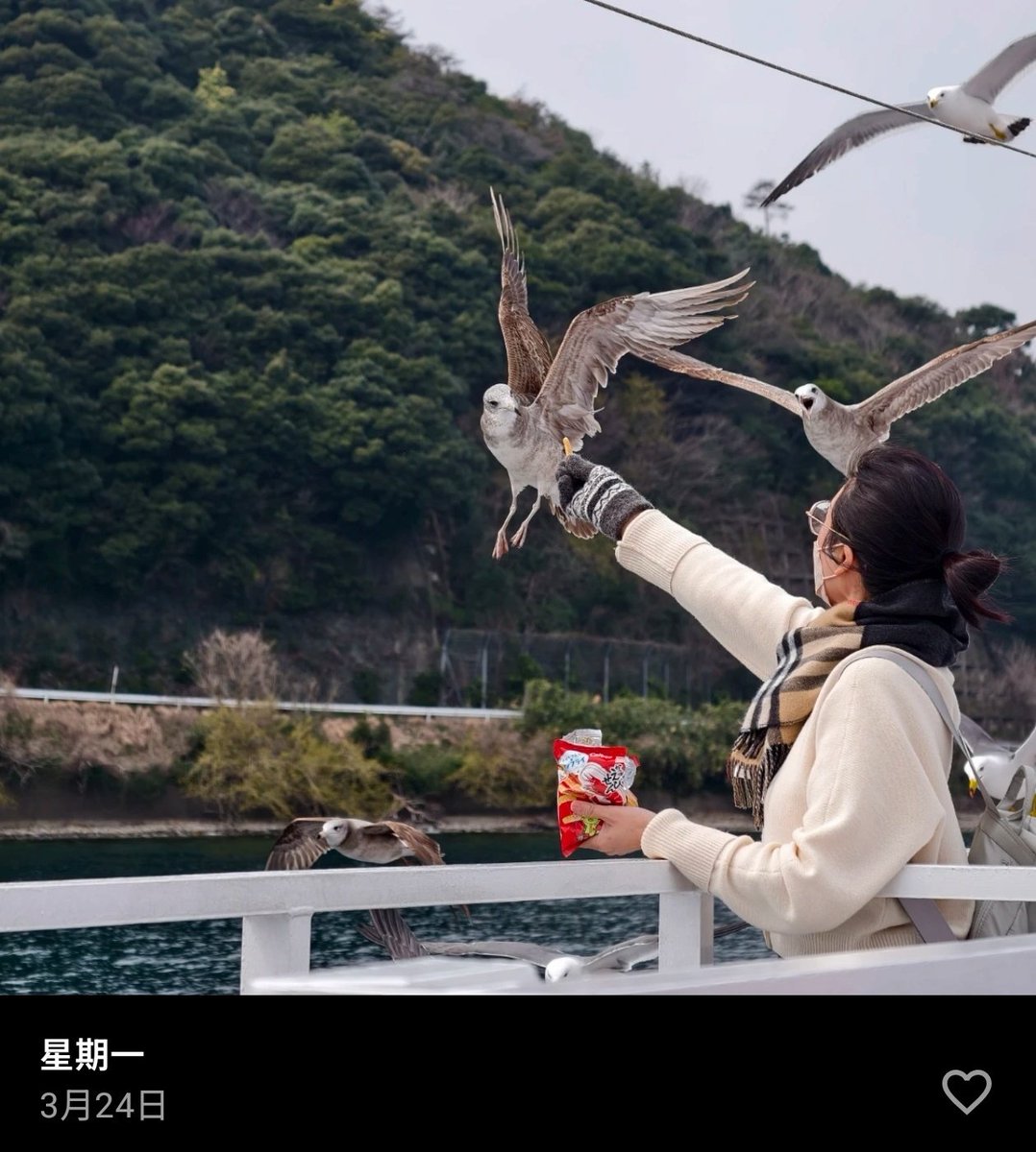 AH☀️ tweet media