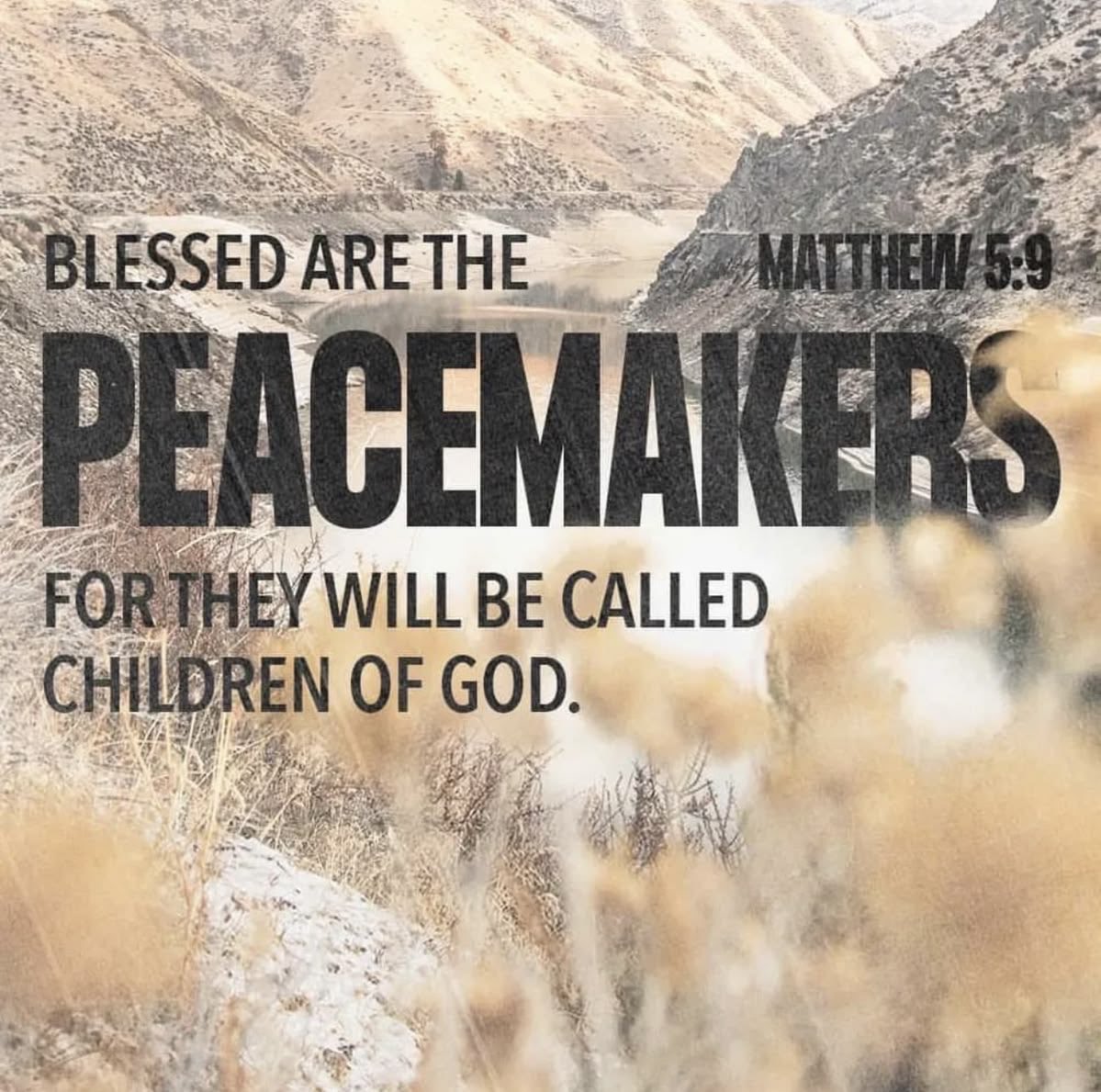 Rocio Garcia tweet media